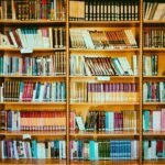 high domain authority growth