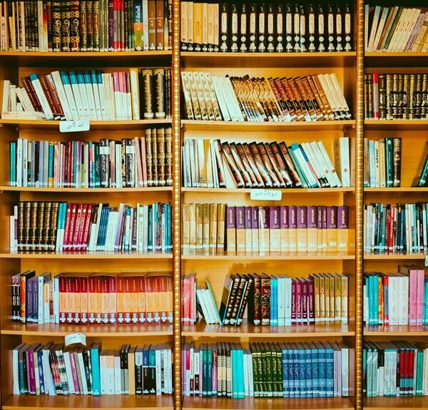 high domain authority growth